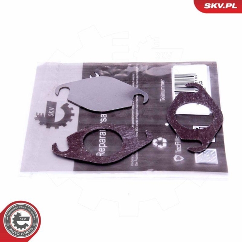 ESEN SKV Reparatursatz, AGR-Ventil 14SKV533