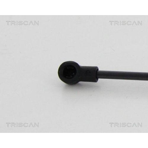 TRISCAN Gasfeder, Heckscheibe 8710 38241