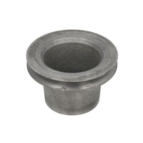 THERMOTEC Riemenscheibe, Wasserpumpe WP-PK106RK