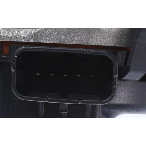 TRISCAN AGR-Ventil 8813 28103