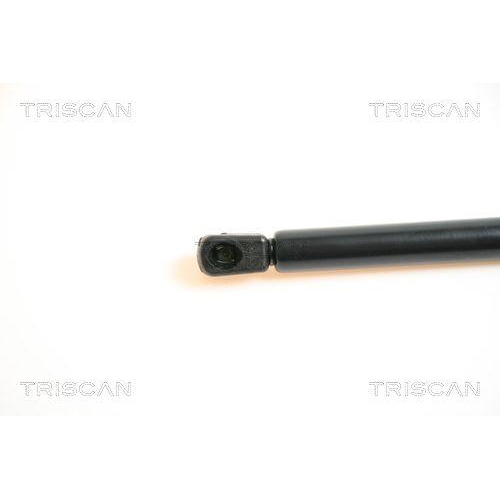 TRISCAN Gasfeder, Koffer-/Laderaum 8710 42224