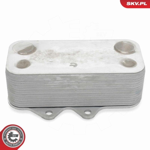 ESEN SKV &Ouml;lk&uuml;hler, Motor&ouml;l 31SKV322