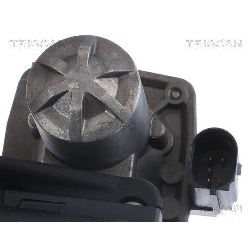 TRISCAN AGR-Ventil 8813 29005