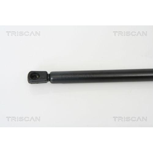 TRISCAN Gasfeder, Koffer-/Laderaum 8710 42235