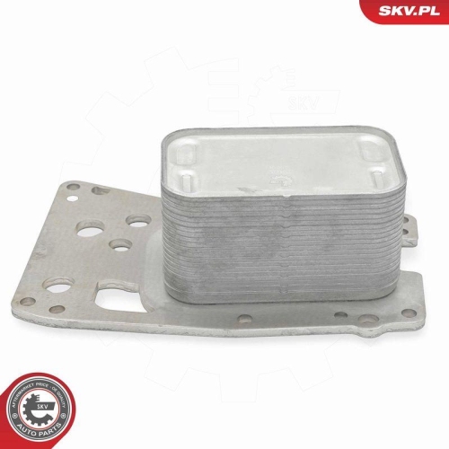 ESEN SKV &Ouml;lk&uuml;hler, Motor&ouml;l 31SKV332