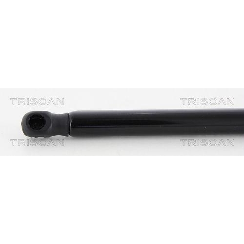 TRISCAN Gasfeder, Koffer-/Laderaum 8710 43234