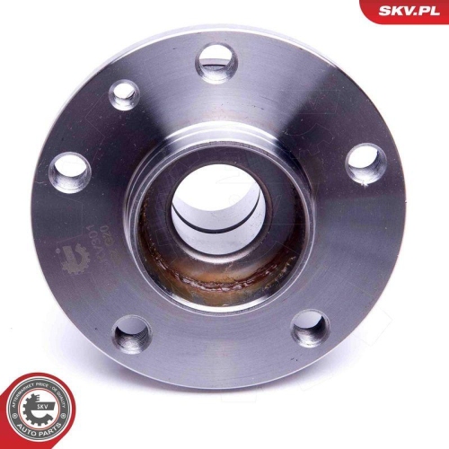ESEN SKV Radlagersatz 29SKV301