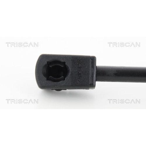 TRISCAN Gasfeder, Koffer-/Laderaum 8710 43238