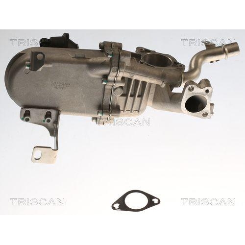 TRISCAN K&uuml;hler, Abgasr&uuml;ckf&uuml;hrung 8813 16115