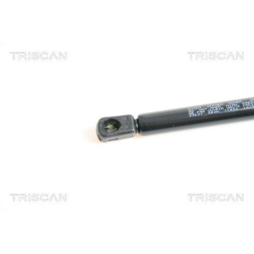 TRISCAN Gasfeder, Koffer-/Laderaum 8710 50237