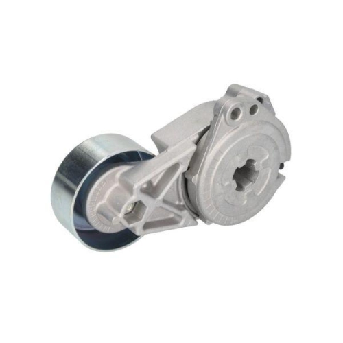 BTA Spannrolle, Keilrippenriemen E25001BTA