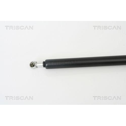 TRISCAN Gasfeder, Koffer-/Laderaum 8710 50241