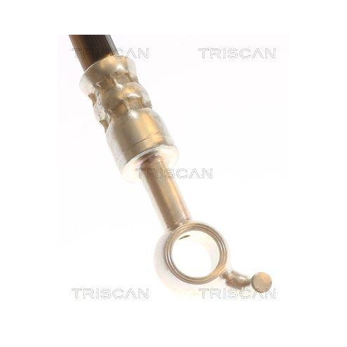 TRISCAN Bremsschlauch 8150 431012
