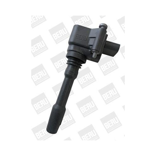 BorgWarner (BERU) Z&uuml;ndspule ZSE163