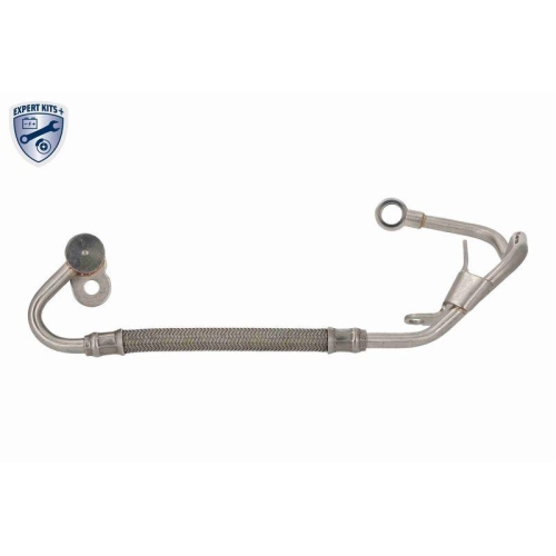 VAICO Ölleitung, Lader EXPERT KITS +