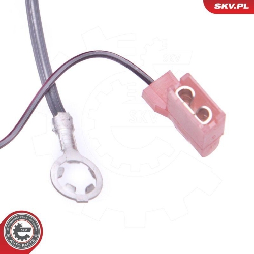 ESEN SKV Bedienschalter, Geschwindigkeitsregelanlage 96SKV928