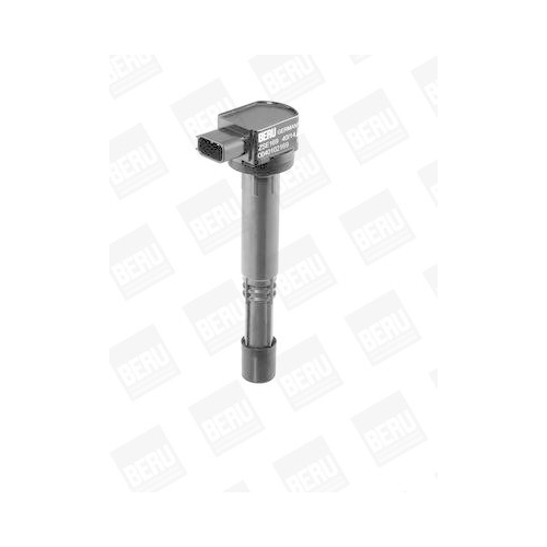 BorgWarner (BERU) Z&uuml;ndspule ZSE169
