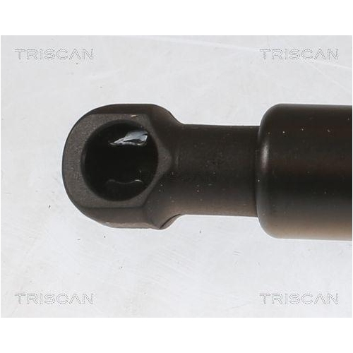 TRISCAN Gasfeder, Koffer-/Laderaum 8710 13296