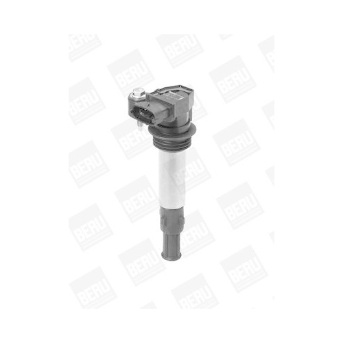 BorgWarner (BERU) Z&uuml;ndspule ZSE174