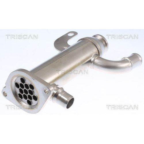TRISCAN K&uuml;hler, Abgasr&uuml;ckf&uuml;hrung 8813 10109