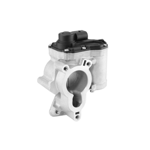 BorgWarner AGR-Ventil 710939D