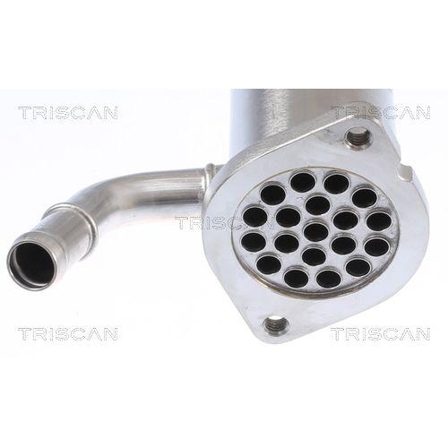 TRISCAN K&uuml;hler, Abgasr&uuml;ckf&uuml;hrung 8813 10112