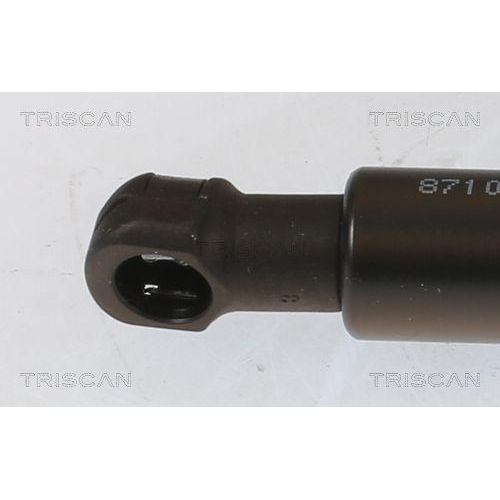 TRISCAN Gasfeder, Koffer-/Laderaum 8710 40243