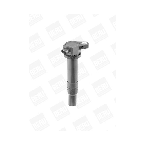 BorgWarner (BERU) Z&uuml;ndspule ZS481
