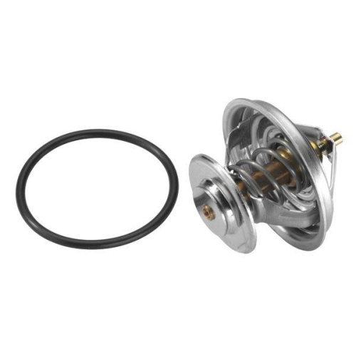 BorgWarner (Wahler) Thermostat, Kühlmittel 4105.83D