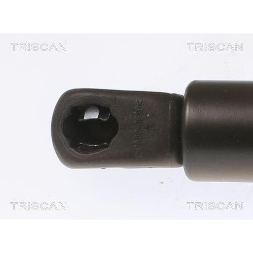 TRISCAN Gasfeder, Koffer-/Laderaum 8710 40245