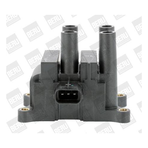 BorgWarner (BERU) Z&uuml;ndspule