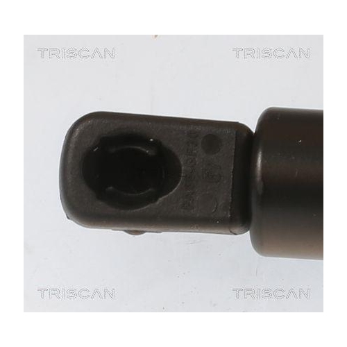TRISCAN Gasfeder, Koffer-/Laderaum 8710 40246