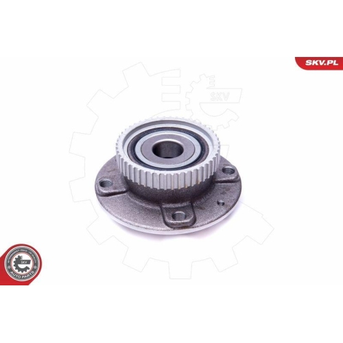 ESEN SKV Radlagersatz