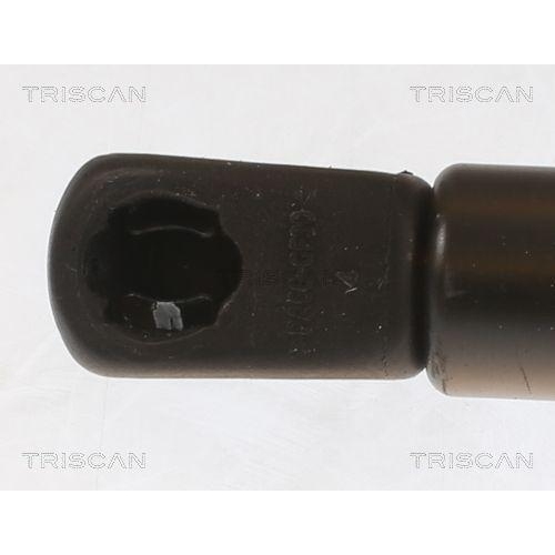 TRISCAN Gasfeder, Koffer-/Laderaum 8710 43247