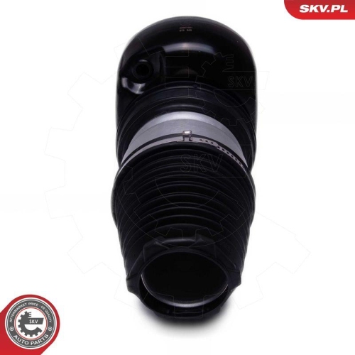 ESEN SKV Luftfederbein