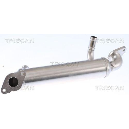 TRISCAN K&uuml;hler, Abgasr&uuml;ckf&uuml;hrung 8813 29343