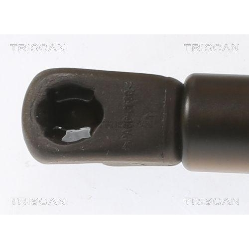 TRISCAN Gasfeder, Koffer-/Laderaum 8710 43248