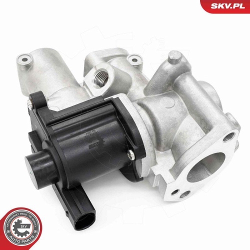 ESEN SKV AGR-Ventil 14SKV253