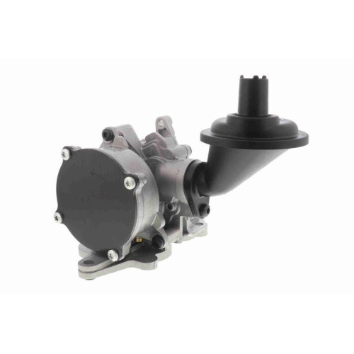 VAICO &Ouml;lpumpe Original VAICO Qualit&auml;t V10-8003