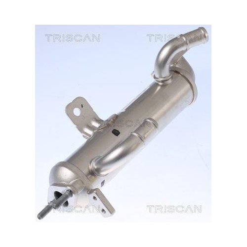 TRISCAN K&uuml;hler, Abgasr&uuml;ckf&uuml;hrung 8813 43102
