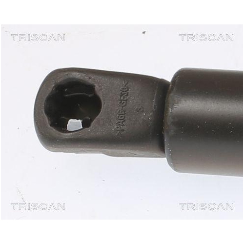 TRISCAN Gasfeder, Koffer-/Laderaum 8710 292068