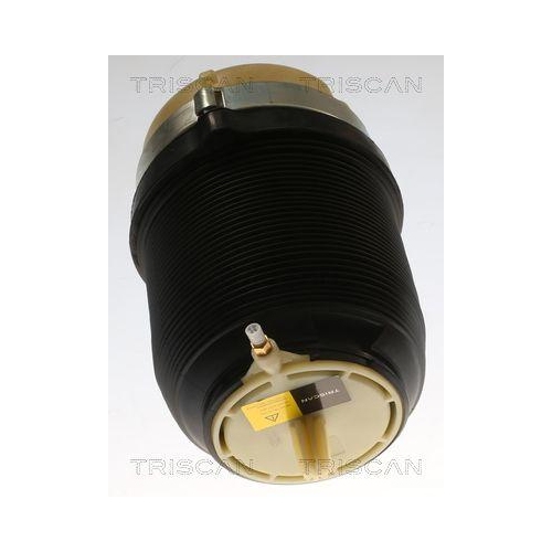 TRISCAN Luftfeder, Fahrwerk 8720 29202