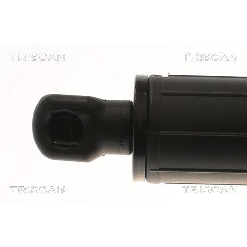 TRISCAN Gasfeder, Koffer-/Laderaum 8710 23303