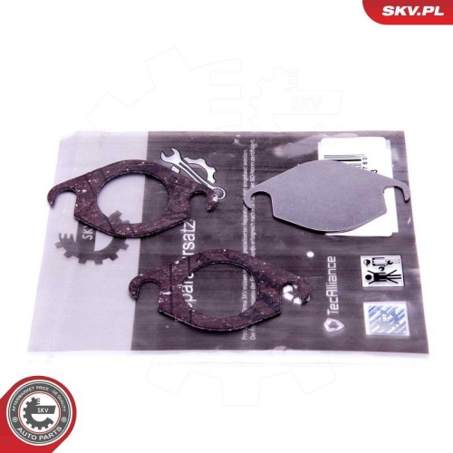 ESEN SKV Reparatursatz, AGR-Ventil 14SKV518