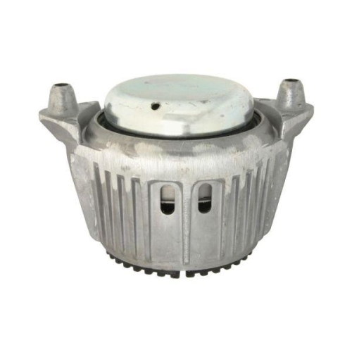 REINHOCH Lagerung, Motor RH11-3035