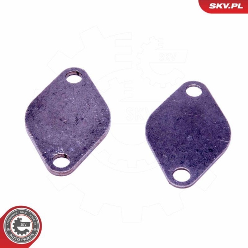 ESEN SKV Reparatursatz, AGR-Ventil 14SKV531