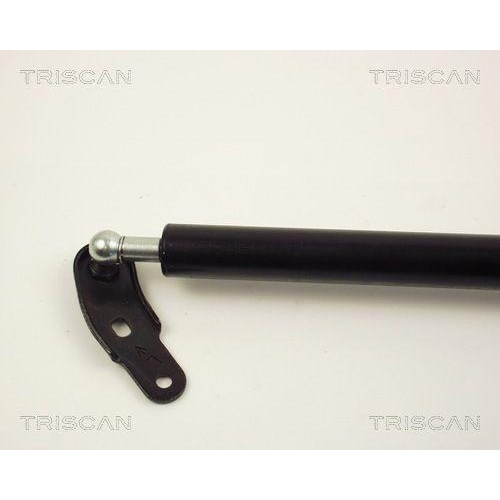 TRISCAN Gasfeder, Koffer-/Laderaum 8710 13231