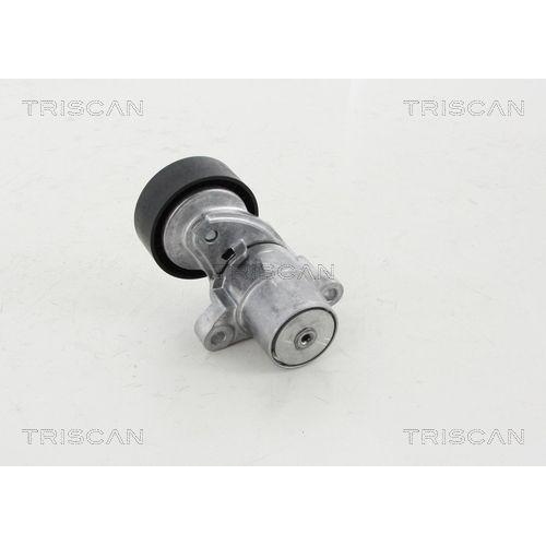 TRISCAN Riemenspanner, Keilrippenriemen