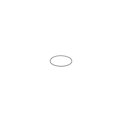 BOSCH Gummiring F 00N 201 204