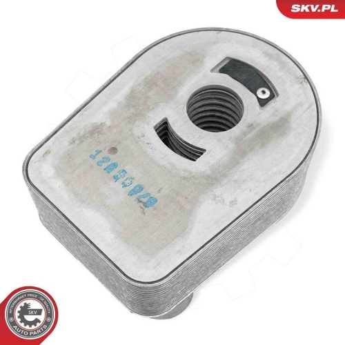 ESEN SKV &Ouml;lk&uuml;hler, Motor&ouml;l 31SKV371